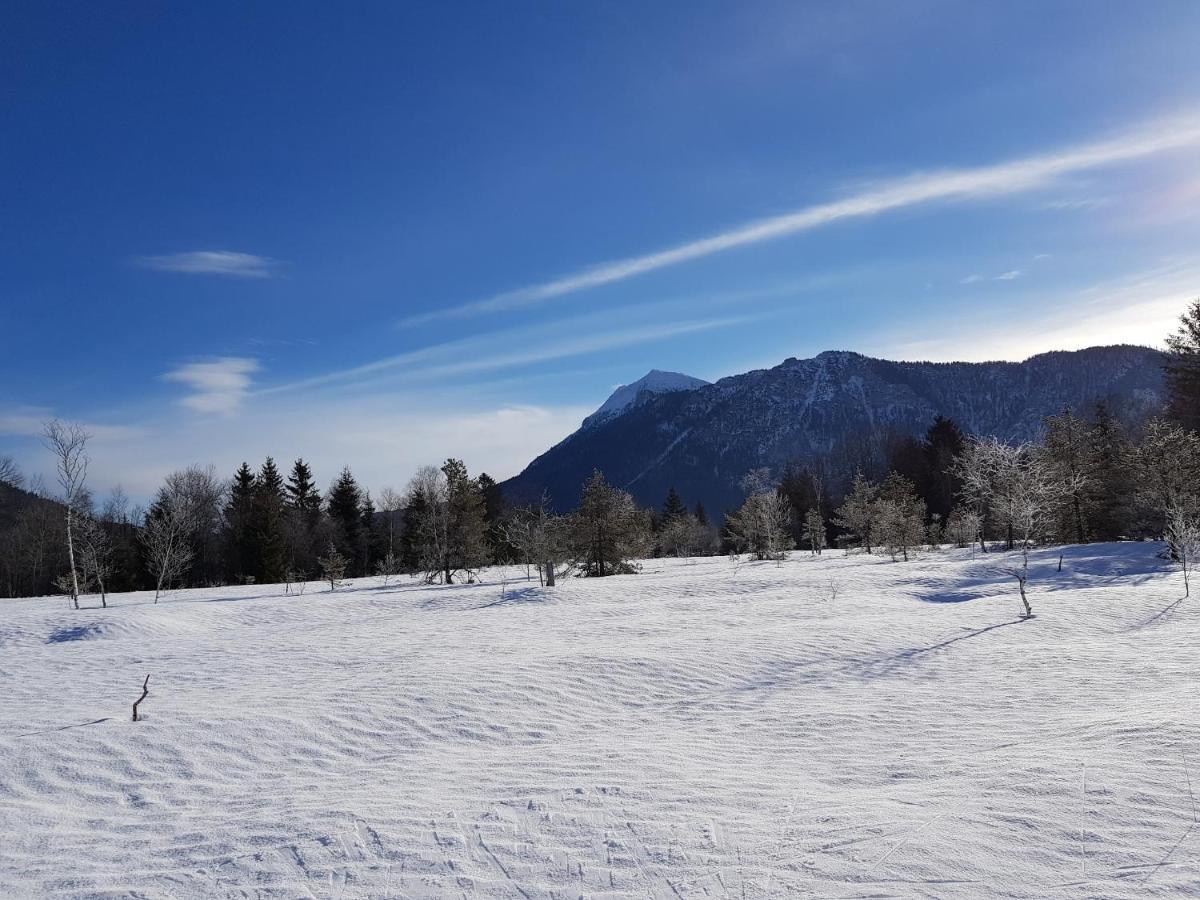 Apartamento Zirbenstüberl - Chiemgau Karte Inzell Exterior foto